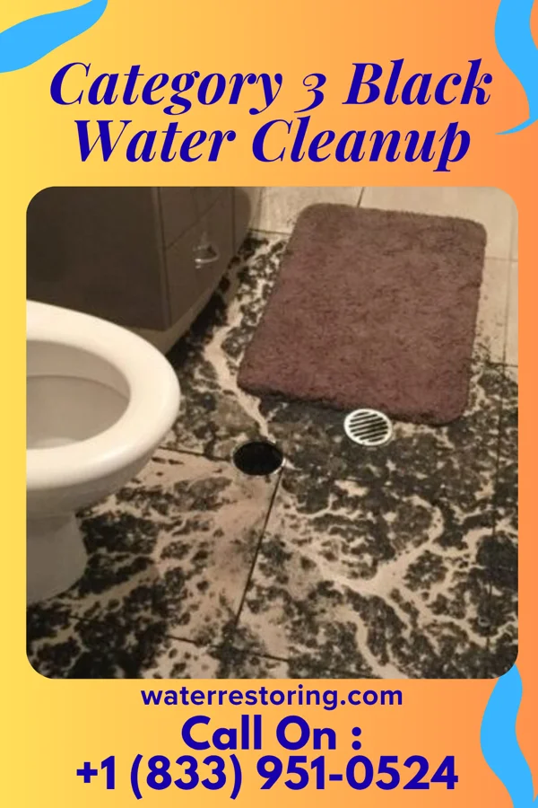 Category 3 Black Water Cleanup in Lake Pocotopaug, CT